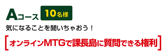 Aコース　オンラインMTGで課長島に質問できる権利　10名様