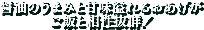 代替テキスト